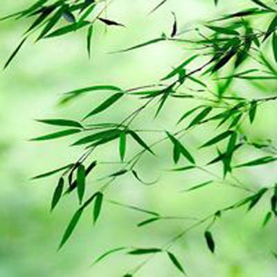 机动战姬聚变应用宝版下载
