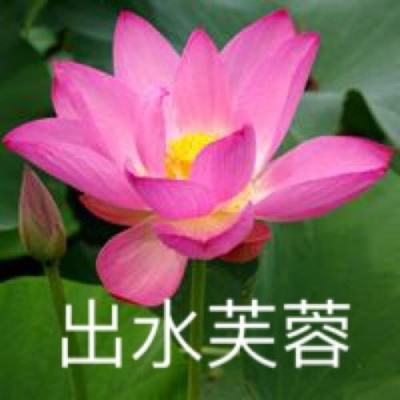 克朗代克大冒险华为手机版下载
